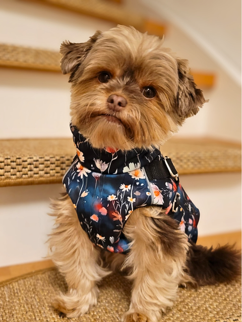 Wasserdichte Softshell-Winterweste für Hündinnen mit integriertem Geschirr – warmer Hundemantel für kleine Hunde von Lucy & Fly