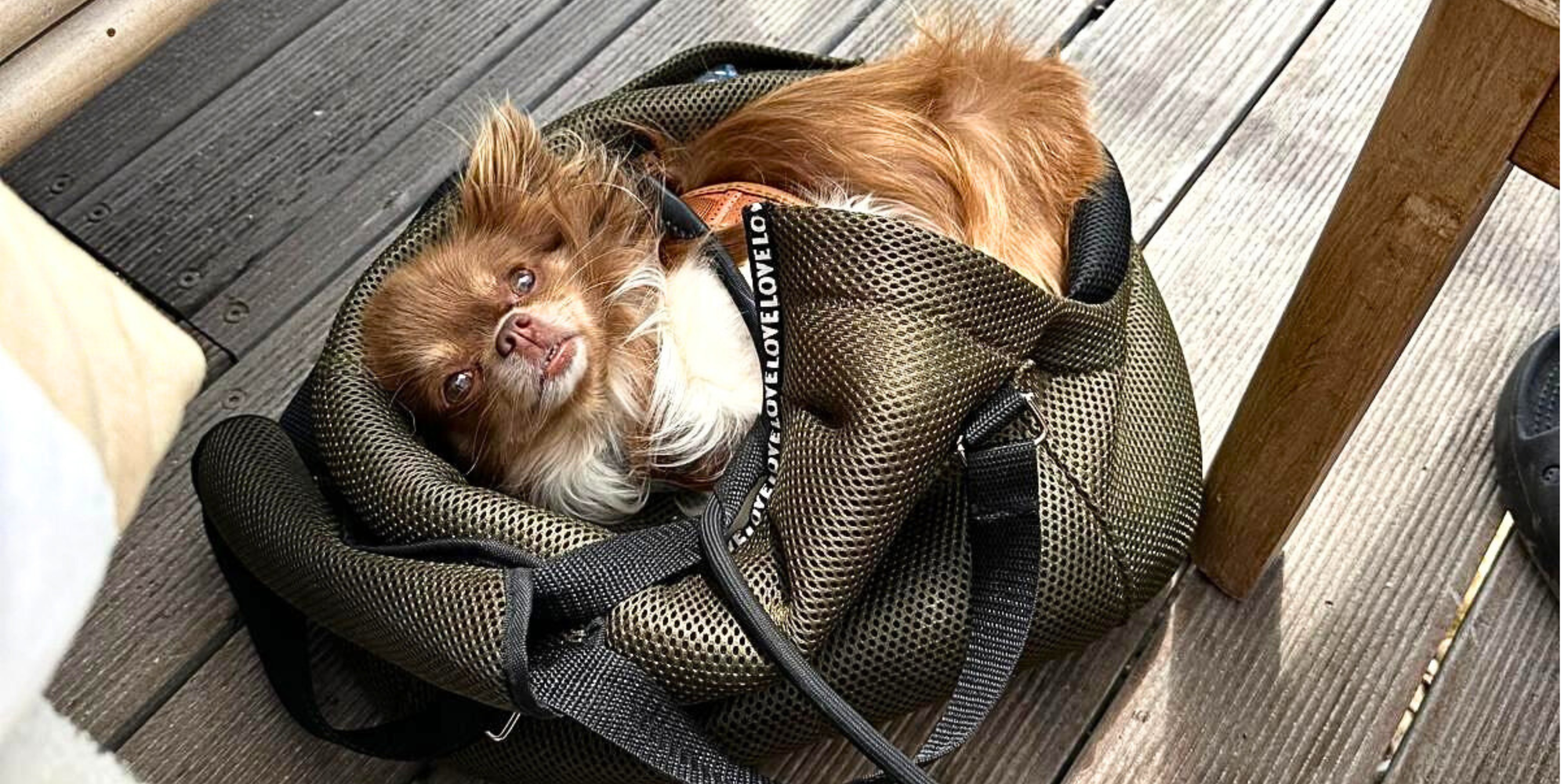 Sommertaschen mit herausnehmbarem Inlay – flexibel für jetzt und warme Tage