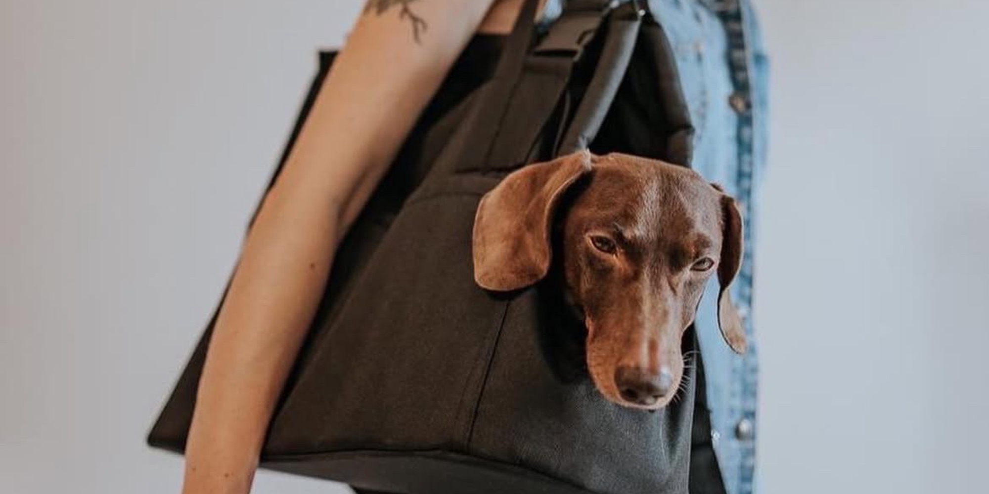 HUNDETASCHE-RUCKSACK FÜR HUNDE BIS CA. 7 KG
