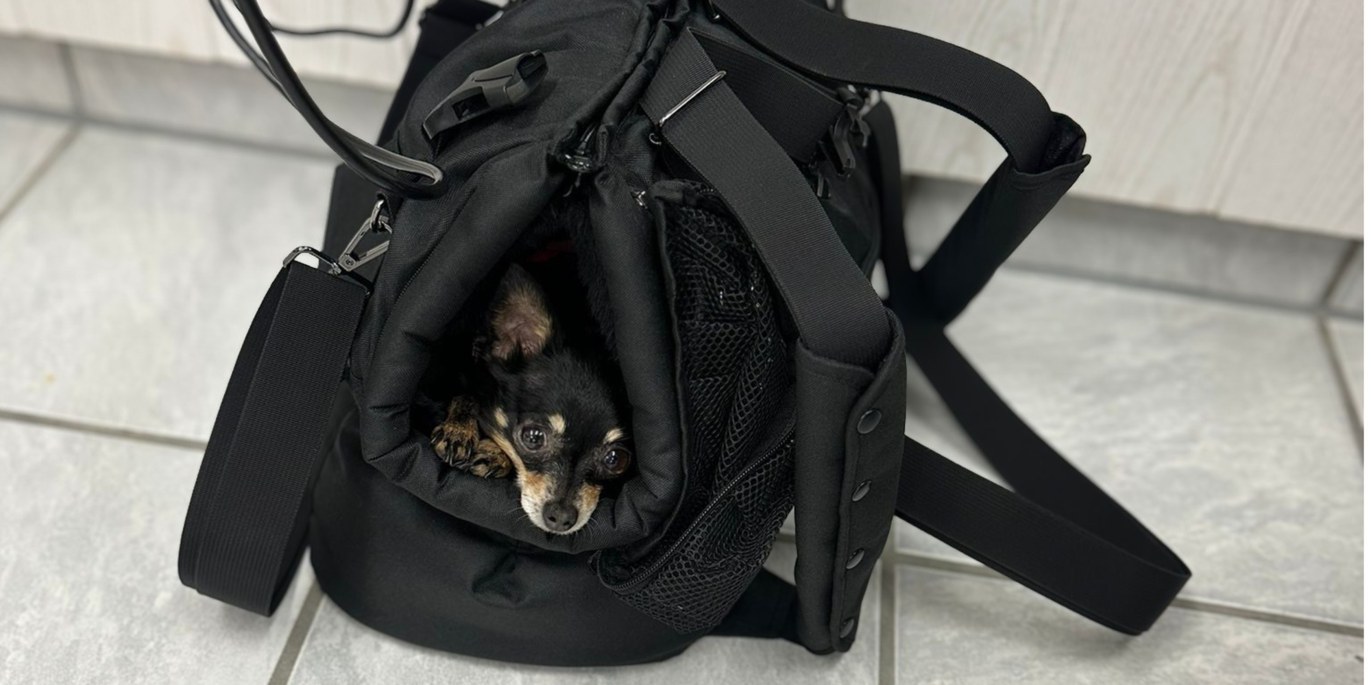 Wintertaschen Gr. M / Für Hunde bis ca. 5kg