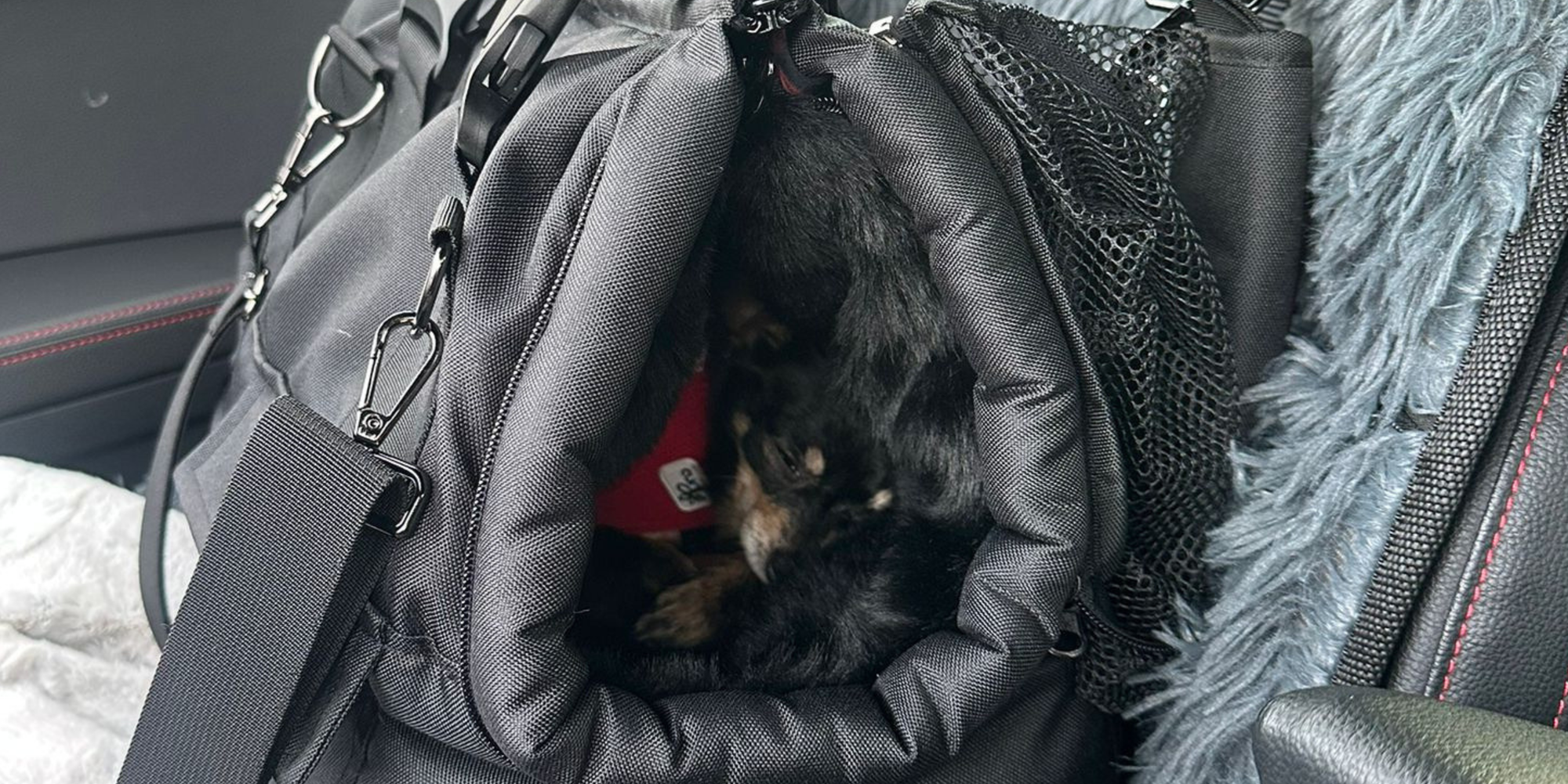 Winter Dog Carriers Size S / For Dogs up to 2.5 kg