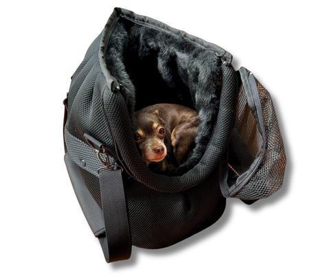 Schwarze Hundetasche Gr. M mit zwei Gurten und Fensternetz für kleine Hunde bis 5 kg