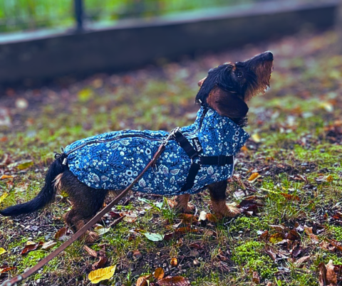 Detail der hochwertigen Verarbeitung beim Hundewestenmodell mit Geschirr