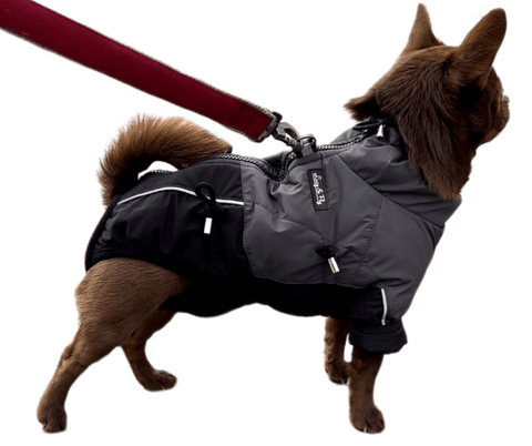 Fabio - Winter coats for male dogs, WATERPROOF with sleeves without pants