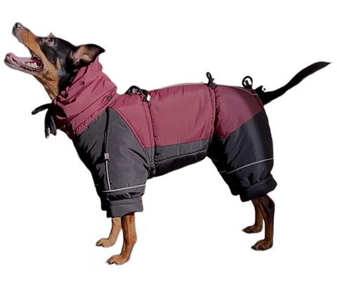 Miss Flexi - Adjustable winter coats with belly protection for females, WATERPROOF