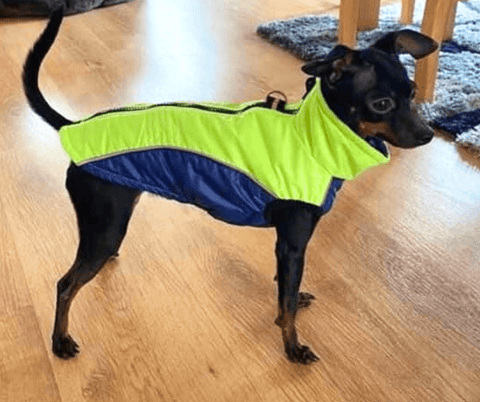 Dog vests with light lining, UNISEX 