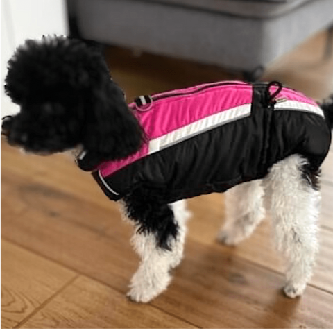 Brunhilde - winter coats for females with belly protection without legs