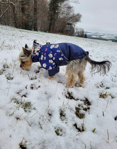 Vintervester / vinterjakker "Franz" til hannhunder 