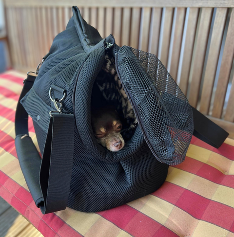 Für Hunde bis 5 kg - Sommertasche mit Regenschutz Größe M