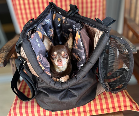 Hundetasche-Rucksack in Schwarz, Beige und Braun mit Softshell-Inlay im Hundemotiv-Design
