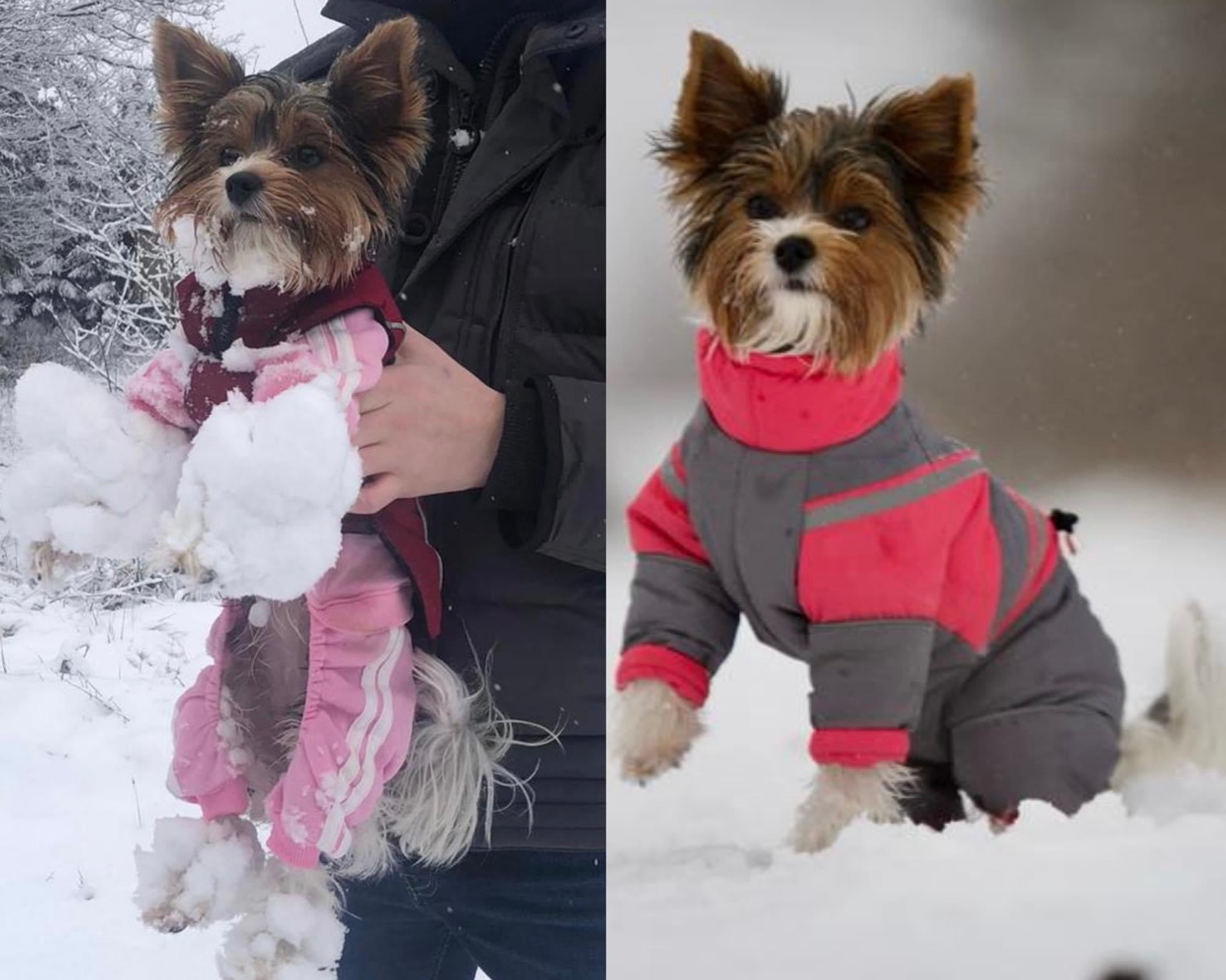 Petra - Wasserferte Wintermäntel für Weibchen mit Bauchschutz