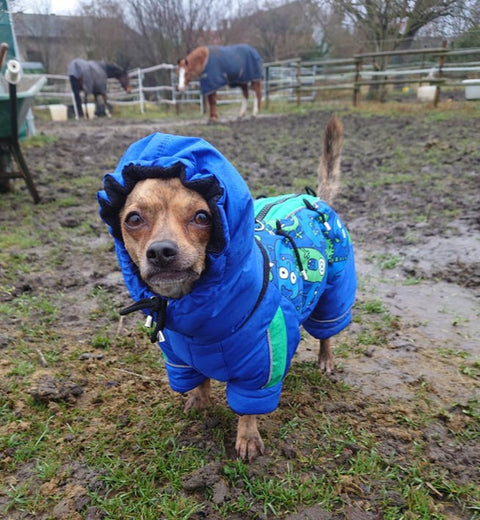 Für Rüden - "Mr. Flex" - Verstellbare Anzüge warm gefüttert mit Beinen / Gr. 25, 27, 29