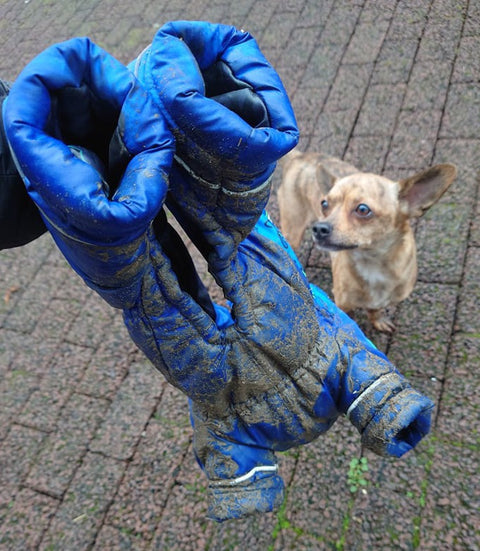 Für Rüden - "Mr. Flex" - Verstellbare Anzüge warm gefüttert mit Beinen / Gr. 25, 27, 29