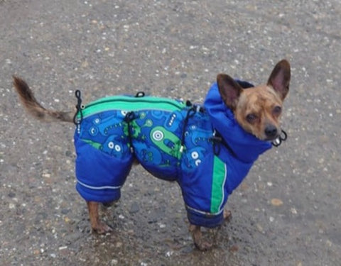 For male dogs - "Mr. Flex" - adjustable suits warmly lined with legs / size. 25, 27, 31