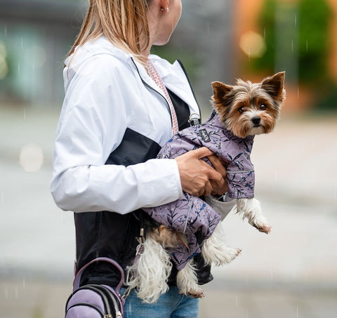 Softshell - dog coats with light lining for females