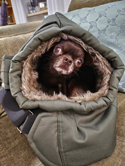 Für Hunde bis ca. 5kg / Sling-Wintertasche "Olivgrün" mit abnehmbarem Fensternetz / Gr. M