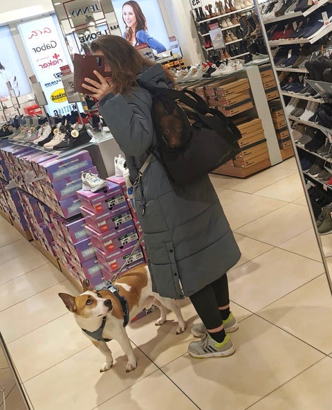 Für Hunde bis ca. 10kg / Wetterfeste Wintertasche "In Khaki" / Rucksack-Funktion mit abnehmbarem Netz  / Gr. XL - Lieferzeit ca. 8 Wochen NACH Ihrer Bestellung