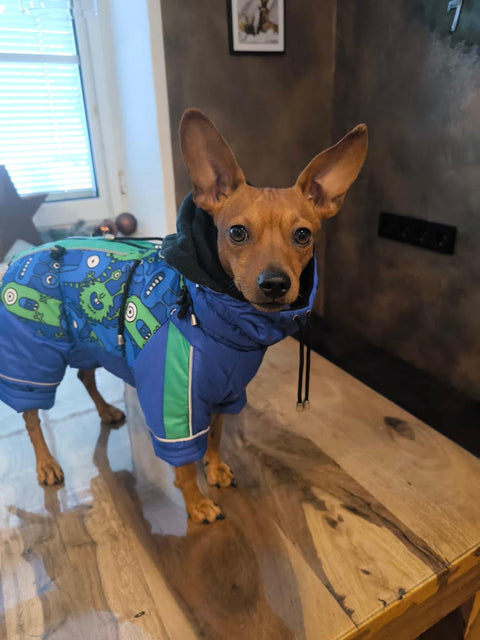 Für Rüden - "Mr. Flex" - Verstellbare Anzüge warm gefüttert mit Beinen / Gr. 25, 27, 29