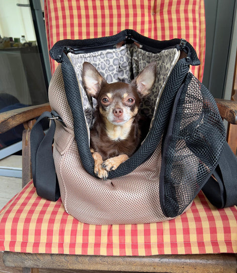 Für Hunde bis ca. 5kg / Sommertasche - Multifunktion Gr. M "In Beige" mit extra Inlay & abnehmbarem Fensternetz - Lieferzeit ca. 8 Wochen NACH Ihrer Bestellung