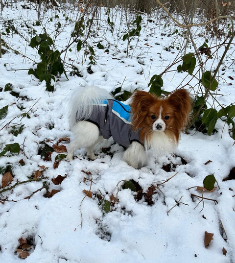 Wintermäntel "Bruno" für Rüden mit Bauchschutz