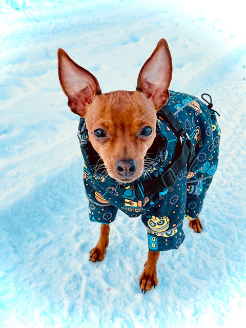 Wetterfeste Softshell-Wintermäntel "RoboGalaxy" 🐾🤖 für Rüden / Geschirr