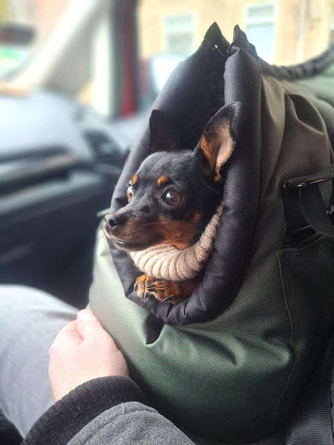 Wintertasche In Khaki für kleine Hunde mit Kuschelsack und stabilem Boden