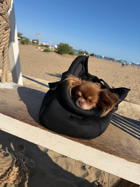 Summer Bag Obsidian Black, Size M – for Dogs up to Approx. 5 kg