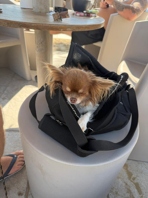 Summer Bag Obsidian Black, Size M – for Dogs up to Approx. 5 kg