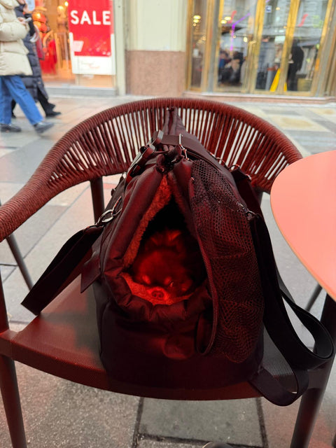 Wetterfeste Hundetasche-Rucksack mit herausnehmbarem Kuschelinlay