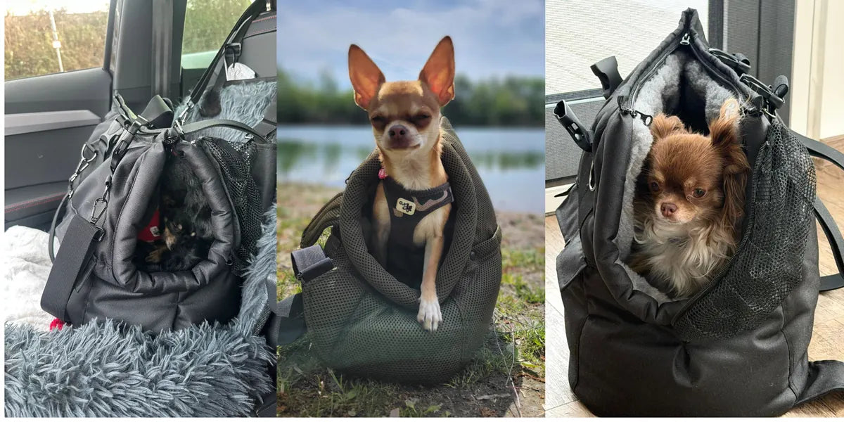 Hochwertige Hundetaschen für jede Jahreszeit