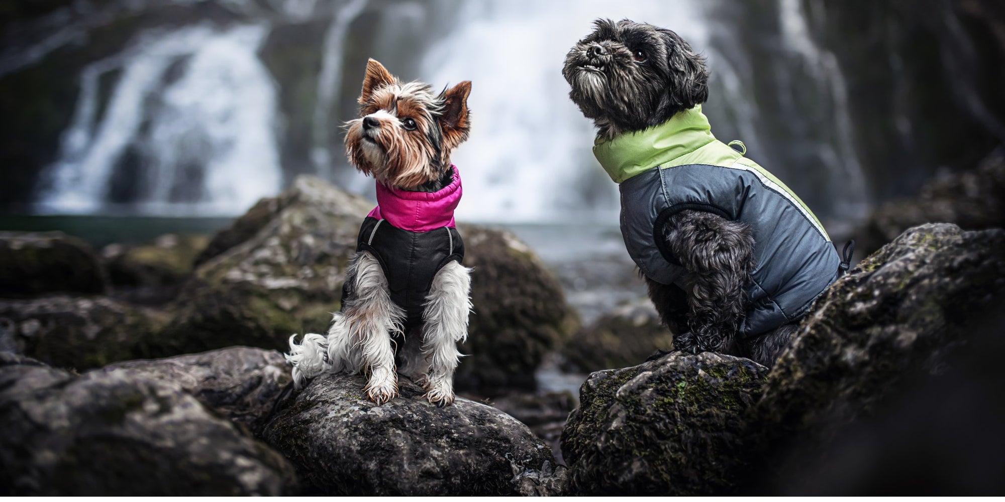 DOG COATS FOR FEMALE DOGS – SIZE CHART 1