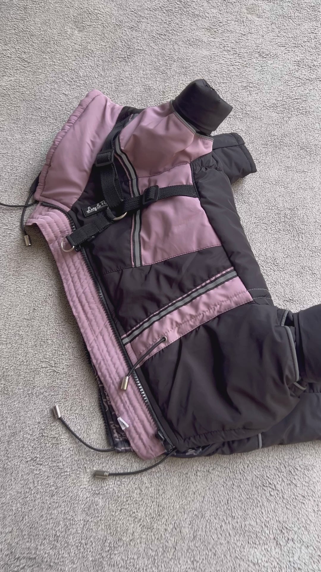 Petra - Wasserferte Wintermäntel für Weibchen mit Bauchschutz