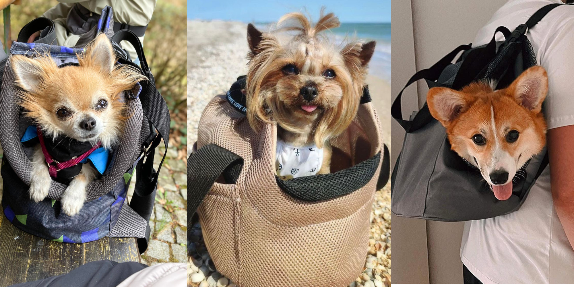Luftige Hundetaschen für Sommer, Urlaub & Stadt