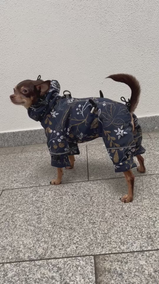 Hundemantel mit BAUCHSCHUTZ | Hundemantel fr Weibchen | Lucy & Fly  LucyandFly