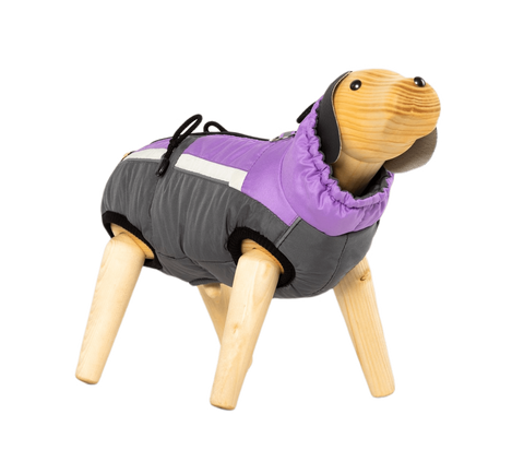 Winter coat "Bruno" for male dogs with belly protection