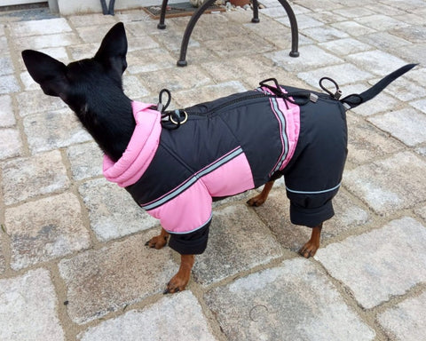 Petra - Waterproof winter coats for females with belly protection