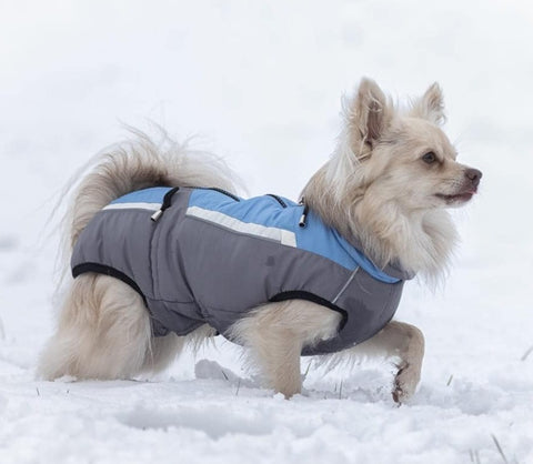 Vinterfrakk "Bruno" til hannhunder med bukbeskyttelse