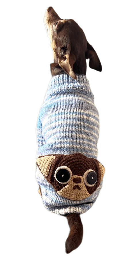 Hundepullover für Rüden "Chihuahua", RL 25cm-27cm / BU 35cm-38cm